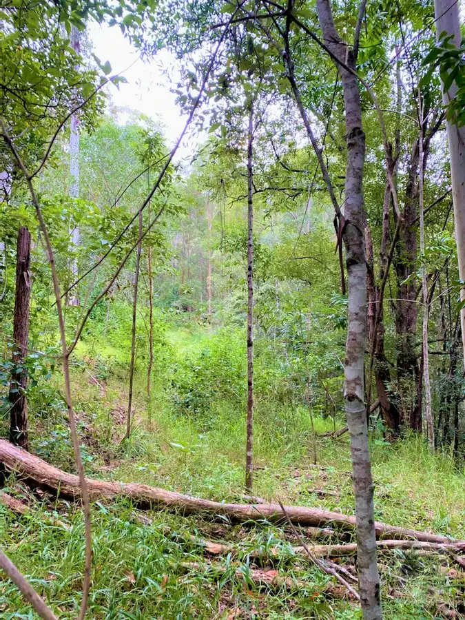 Lot 2 Chilcotts Road, Chillingham NSW 2484
