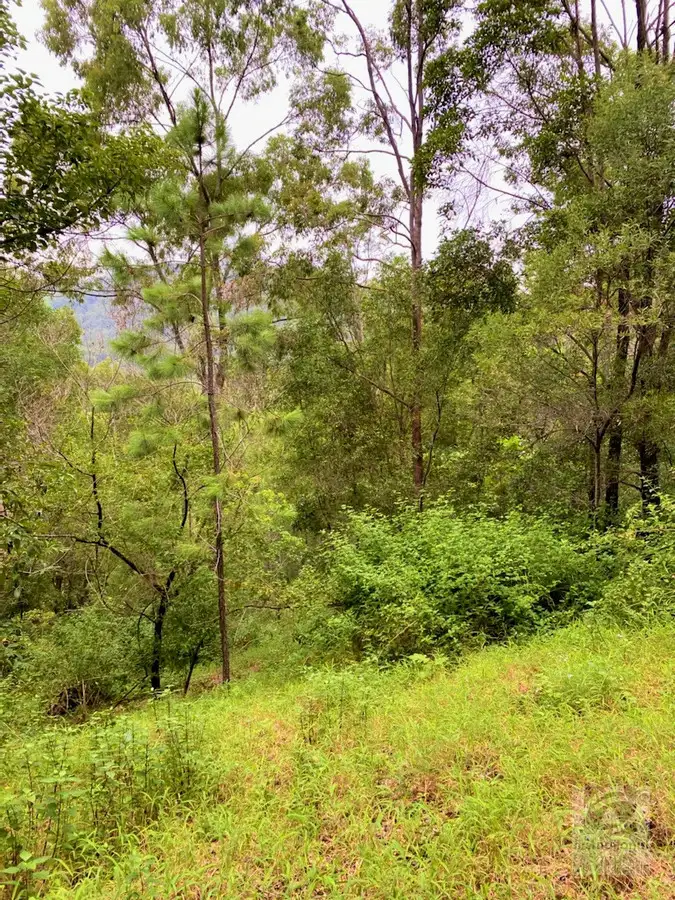 Second view of Homely land listing, Lot 2 Chilcotts Road, Chillingham NSW 2484