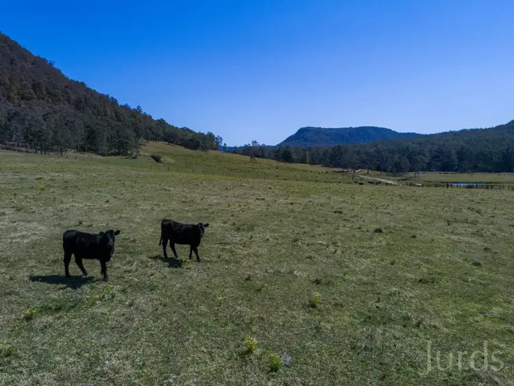 Second view of Homely rural property listing, 1724 Congewai Road, Congewai NSW 2325