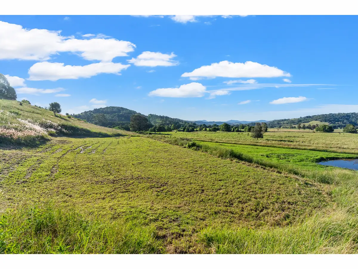 Main view of Homely land listing, 564 Keerrong Road, Keerrong NSW 2480