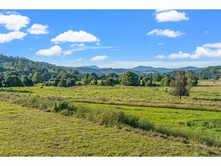 Second view of Homely land listing, 564 Keerrong Road, Keerrong NSW 2480