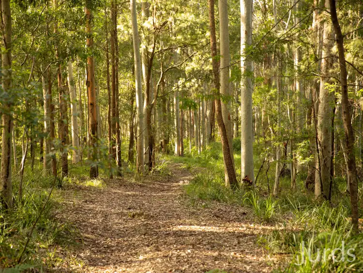 Fourth view of Homely rural property listing, Lot 80 / DP755254 Whitings Lane, Quorrobolong NSW 2325