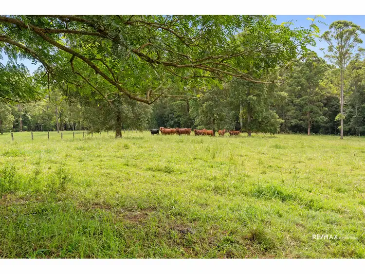 LOT 113 Macdonalds Road, Peachester QLD 4519