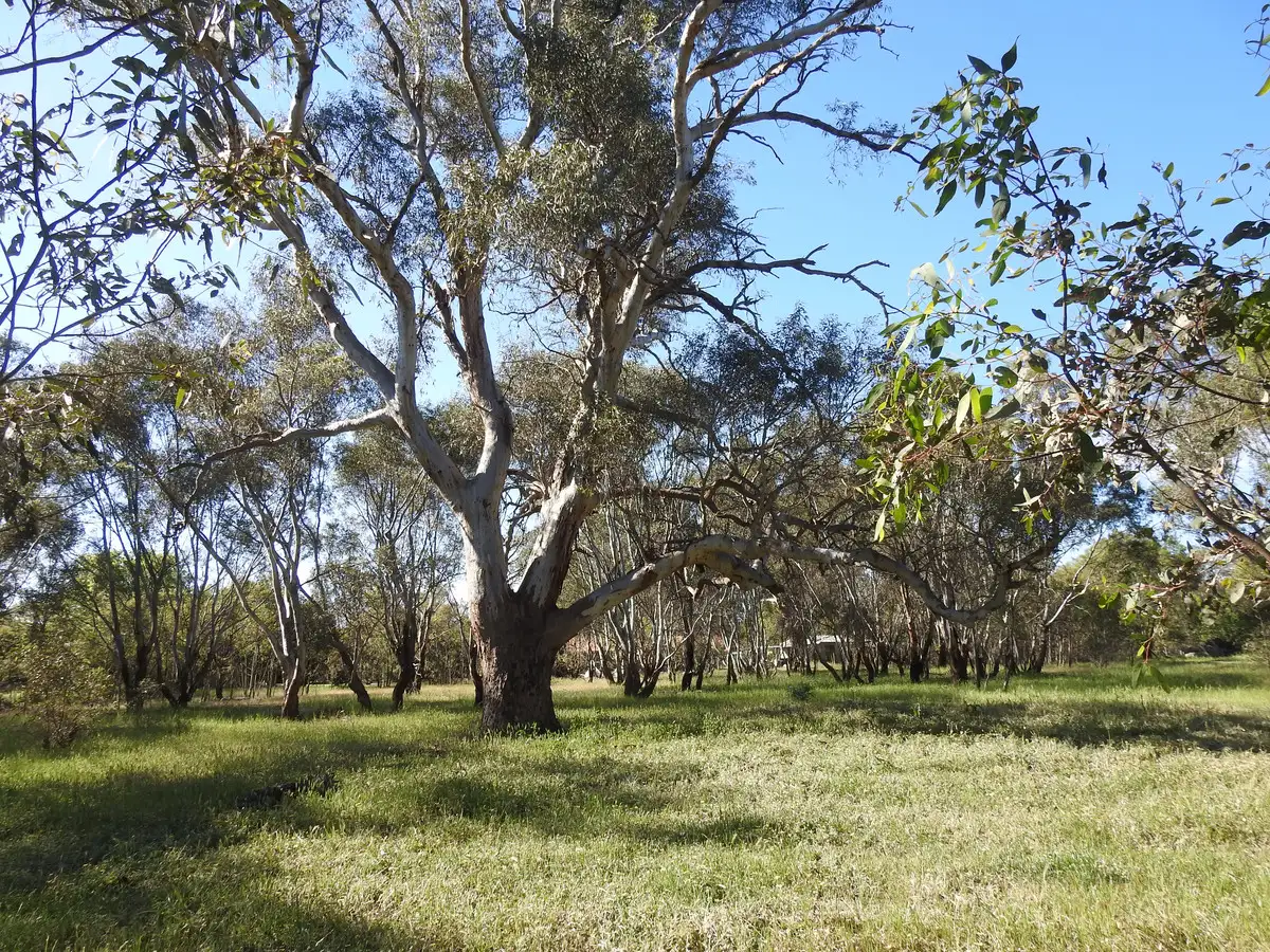 Main view of Homely land listing, LOT 2, Benalla Park Estate Inglis Road, Benalla VIC 3672