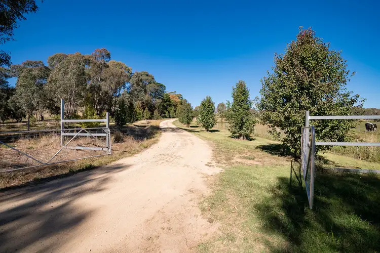Fifth view of Homely rural property listing, 1586 Beechworth-Wodonga Road, Wooragee VIC 3747