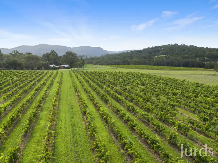 Third view of Homely rural property listing, 536 De Beyer's Road, Pokolbin NSW 2320