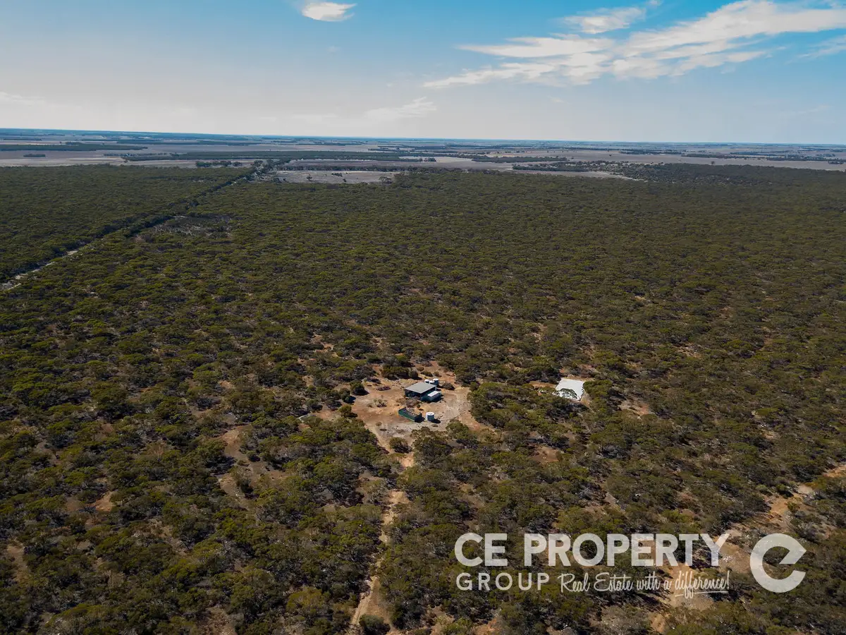 Main view of Homely rural property listing, LOT 113 Mallee Road, Walker Flat SA 5238