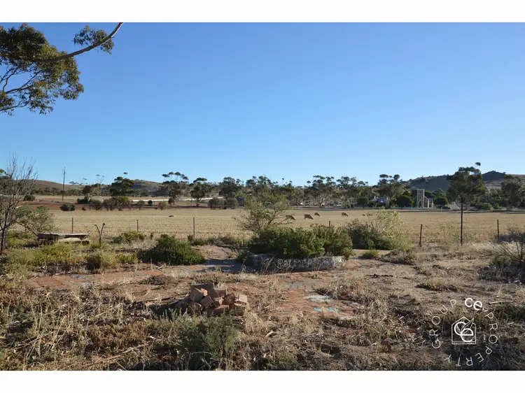 Main view of Homely rural property listing, 2-14 Education Avenue, Palmer SA 5237