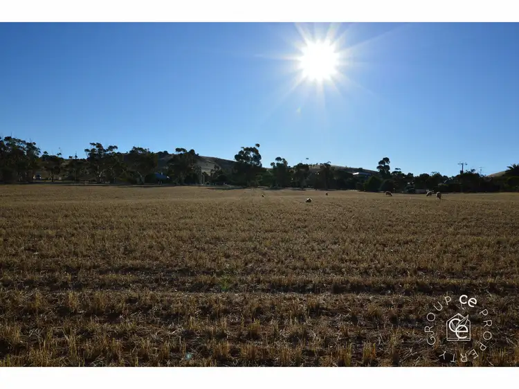 Fourth view of Homely rural property listing, 2-14 Education Avenue, Palmer SA 5237