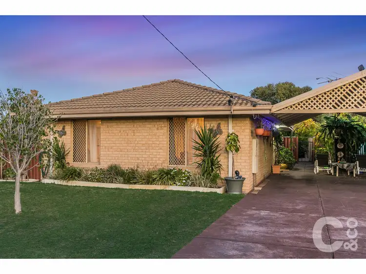 Main view of Homely house listing, 16A Mariano Court, Rockingham WA 6168