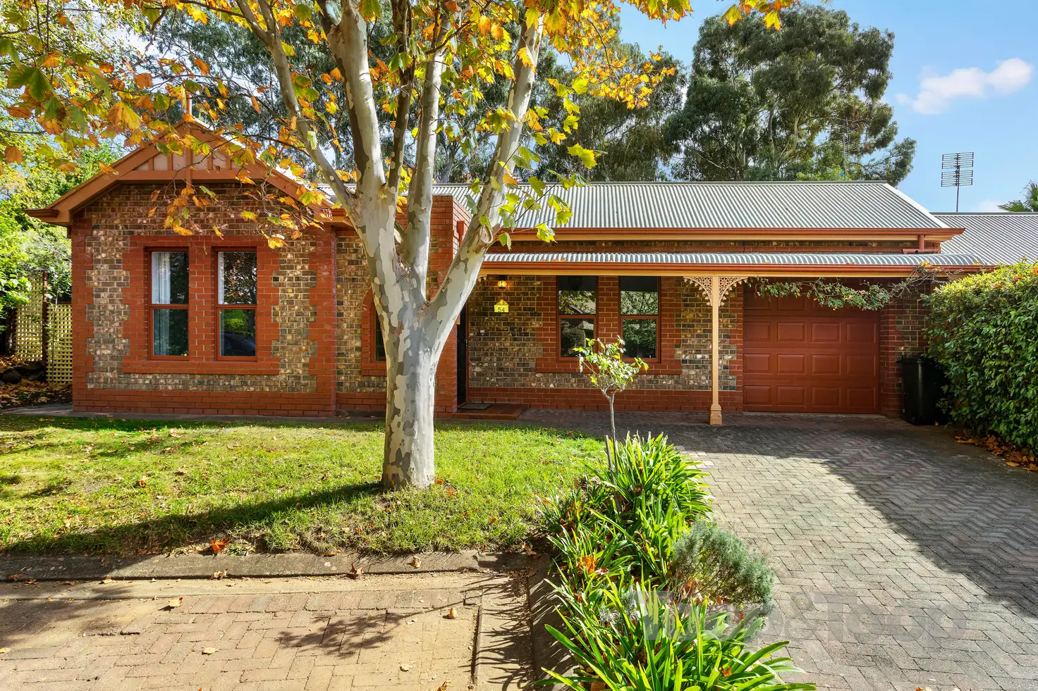 Main view of Homely house listing, 54/5 Mount Barker Road, Urrbrae SA 5064