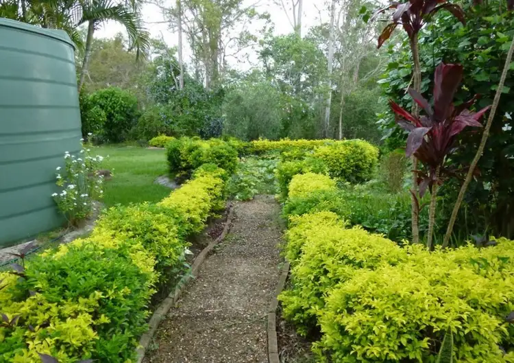 Fifth view of Homely house listing, 44 Brugh Street, Aldershot QLD 4650