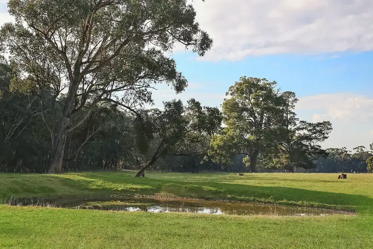 Sixth view of Homely rural property listing, 420 Barongarook Road, Barongarook VIC 3249