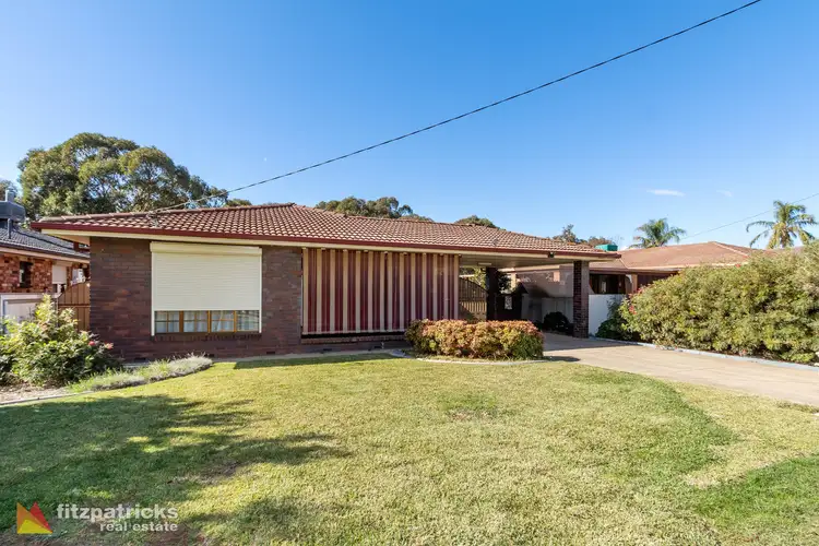 41 Montgomery Street, Ashmont NSW 2650