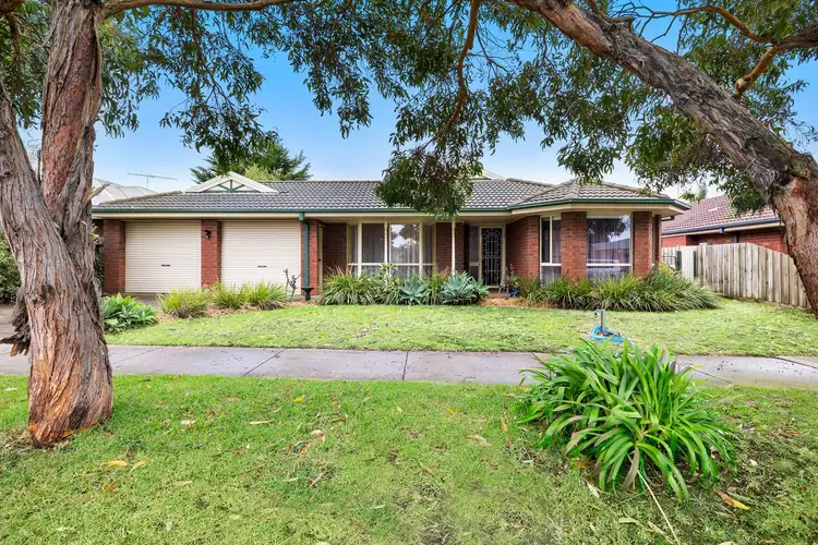 13 Boscarne Avenue, Torquay VIC 3228