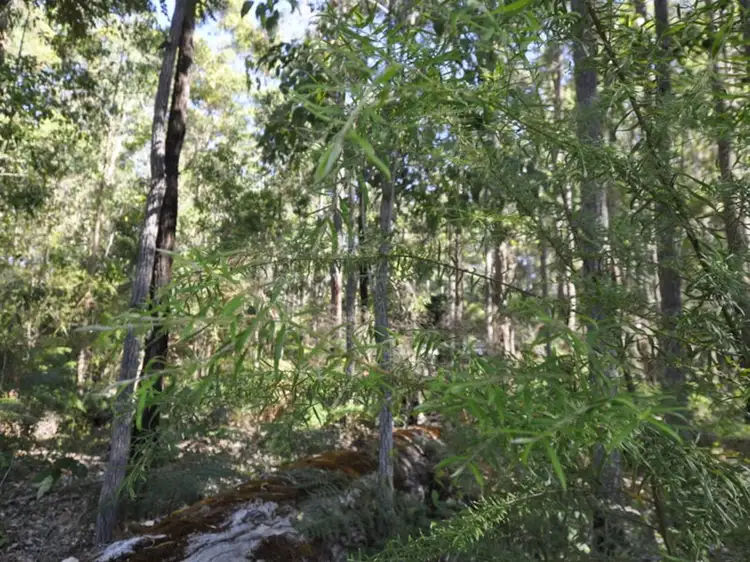 Lot 123 Karri Lane, Quinninup WA 6258