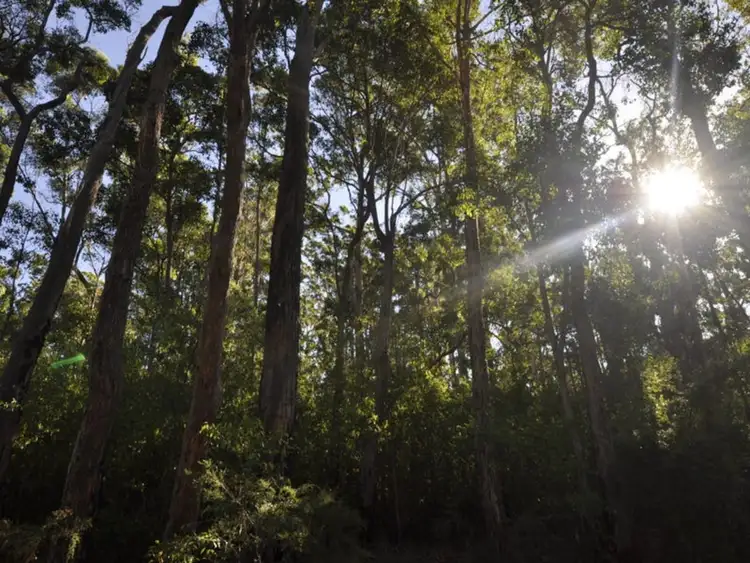 Second view of Homely land listing, Lot 64 Rainbow Trout Walk, Quinninup WA 6258