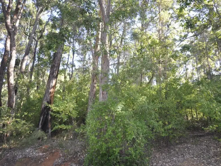 Sixth view of Homely land listing, Lot 64 Rainbow Trout Walk, Quinninup WA 6258