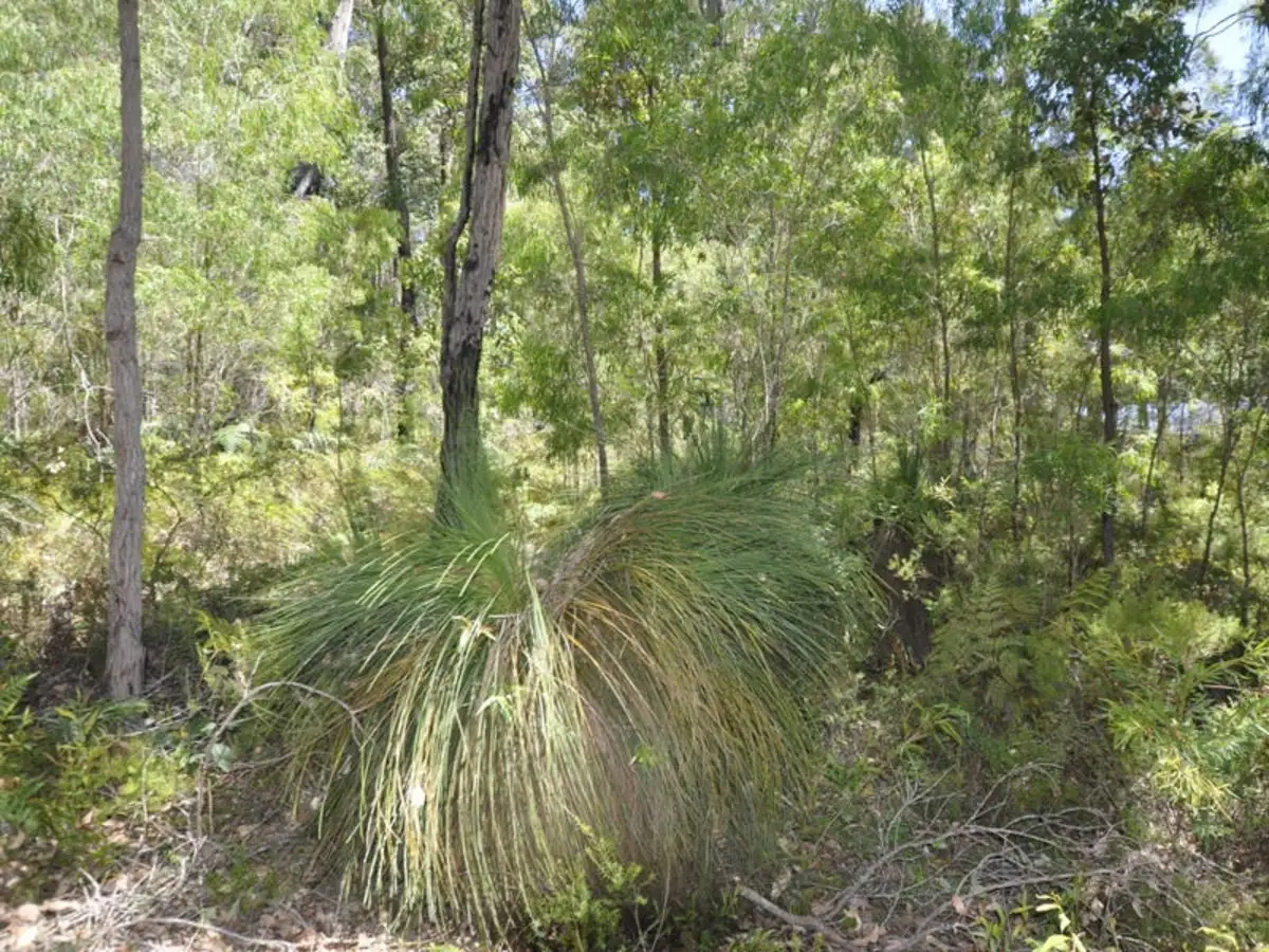 Main view of Homely land listing, Lot 52 Karri Lane, Quinninup WA 6258