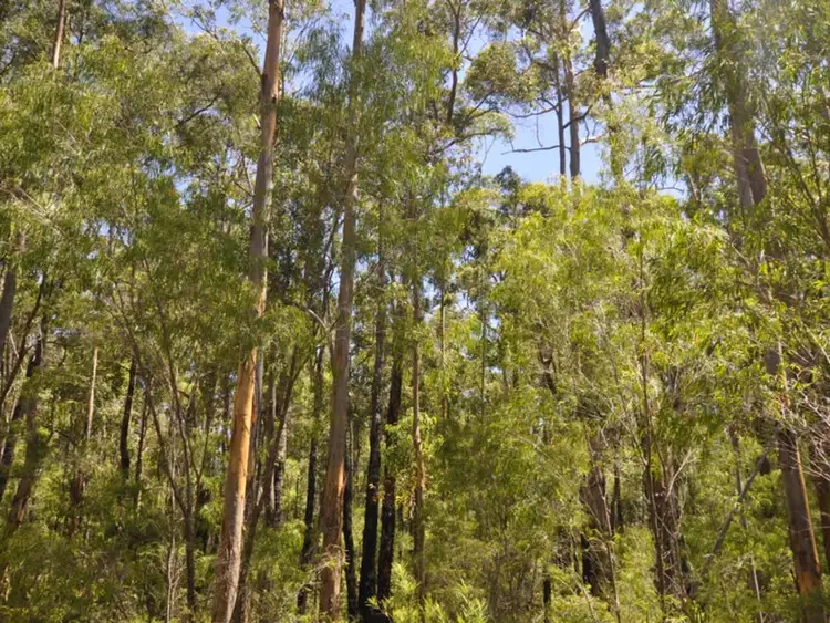 Sixth view of Homely land listing, Lot 52 Karri Lane, Quinninup WA 6258