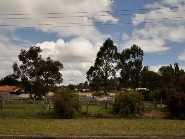 Proposed Lot 101 Johnson Street, Manjimup WA 6258