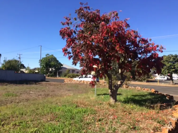 Main view of Homely land listing, 21 Bath Street, Manjimup WA 6258