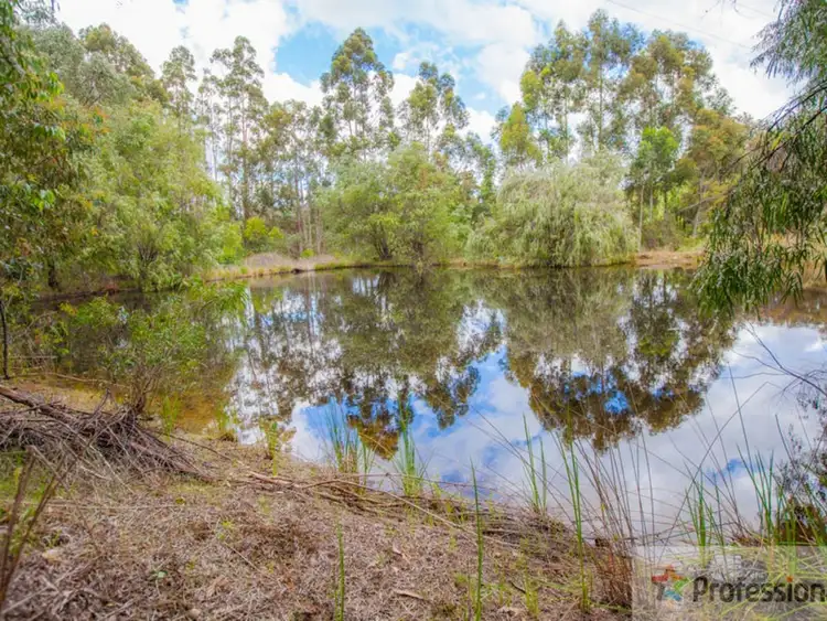 Fourth view of Homely rural property listing, 30092 South Western Highway, Pemberton WA 6260