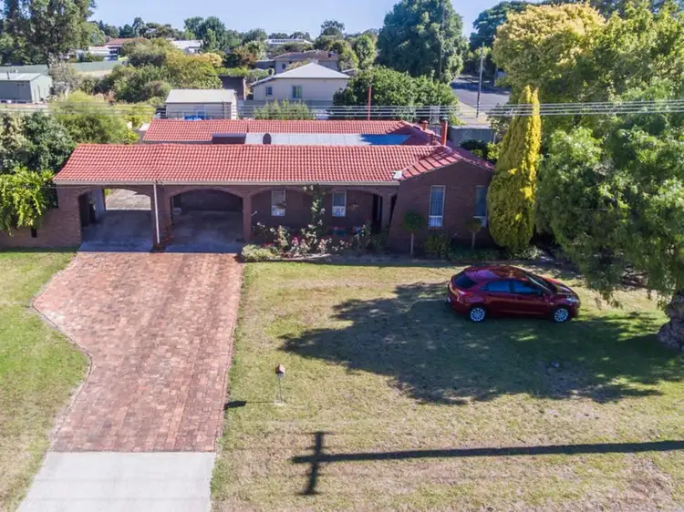 31 Rae Street, Manjimup WA 6258