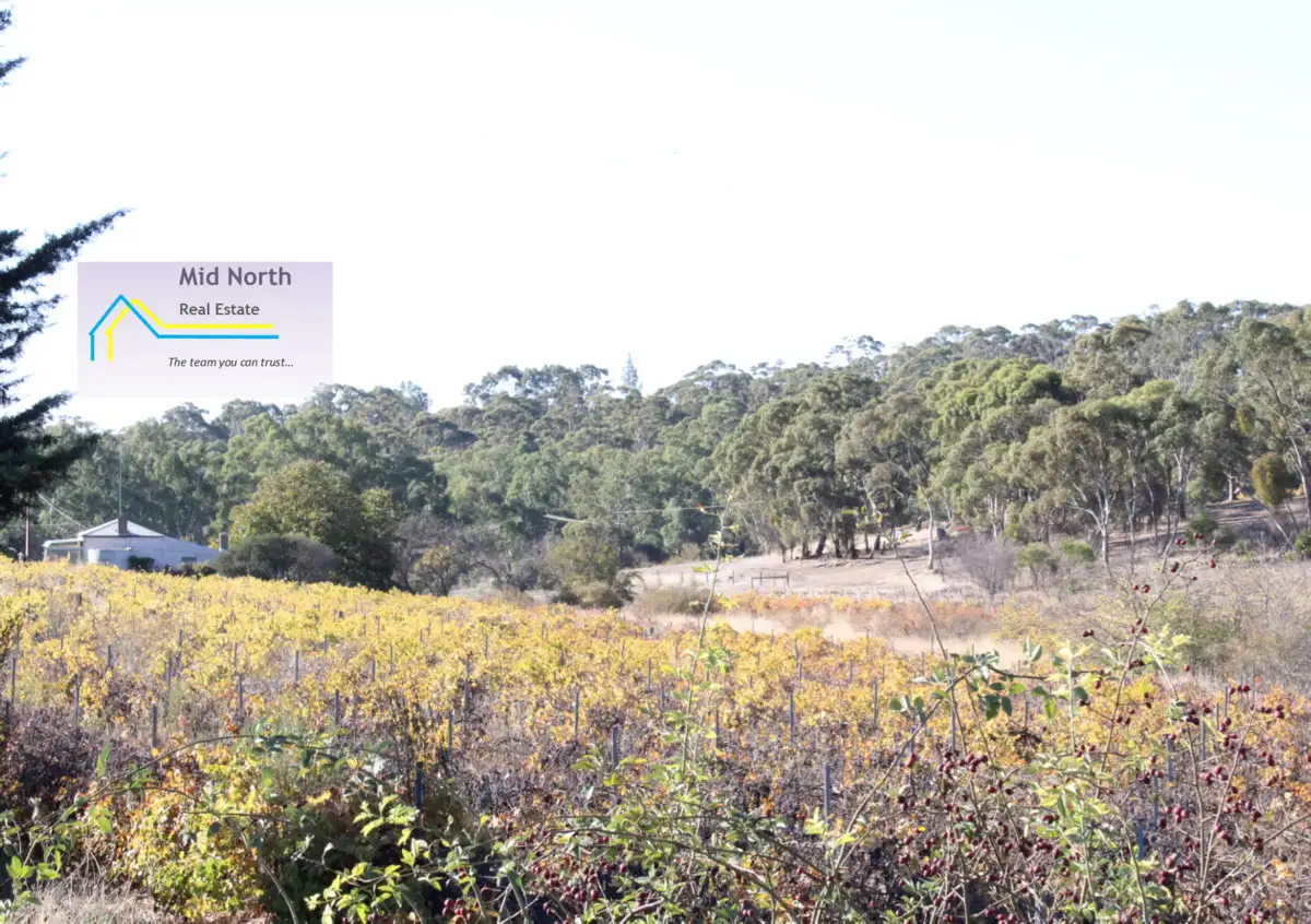 Main view of Homely house listing, 8386 Horrocks Highway, Sevenhill SA 5453