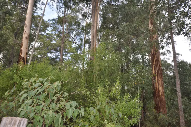 Second view of Homely land listing, LOT 105, 12 TITREE Glen, Quinninup WA 6258
