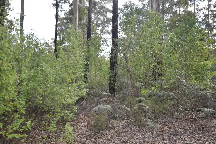 Third view of Homely land listing, LOT 105, 12 TITREE Glen, Quinninup WA 6258