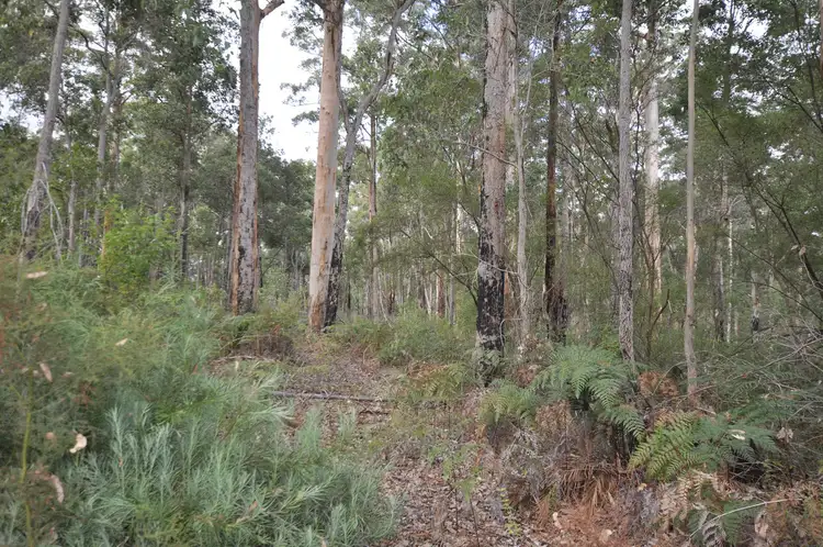 Fourth view of Homely land listing, LOT 105, 12 TITREE Glen, Quinninup WA 6258