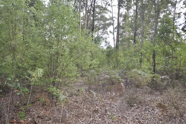 Fifth view of Homely land listing, LOT 105, 12 TITREE Glen, Quinninup WA 6258