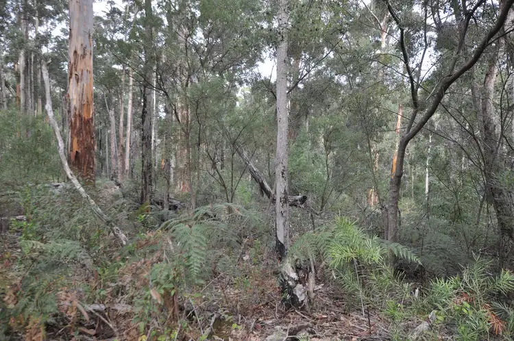 Sixth view of Homely land listing, LOT 105, 12 TITREE Glen, Quinninup WA 6258