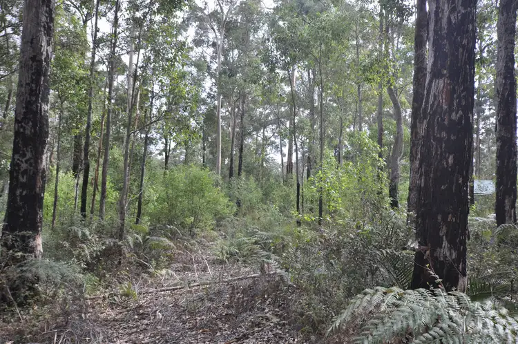Seventh view of Homely land listing, LOT 105, 12 TITREE Glen, Quinninup WA 6258