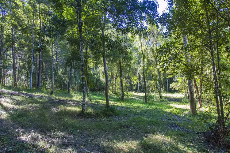 Fourth view of Homely land listing, 76 Golden Rain Lane, Eerwah Vale QLD 4562