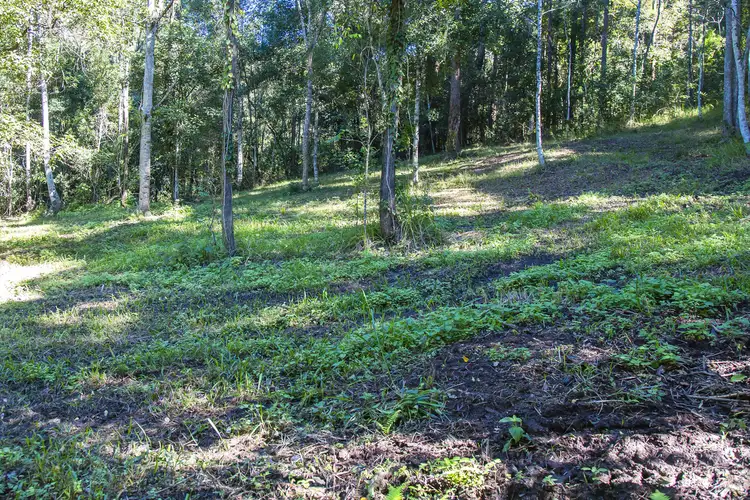 Fifth view of Homely land listing, 76 Golden Rain Lane, Eerwah Vale QLD 4562