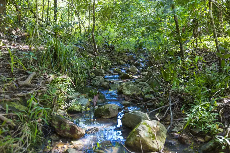 Seventh view of Homely land listing, 76 Golden Rain Lane, Eerwah Vale QLD 4562