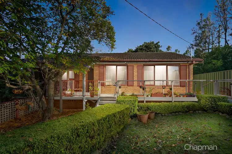 3 Eucalypt Road, Springwood NSW 2777