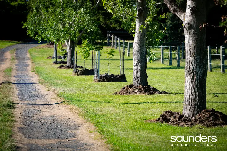 Second view of Homely land listing, LOT 29, 40520 Tasman Highway, St Leonards TAS 7250