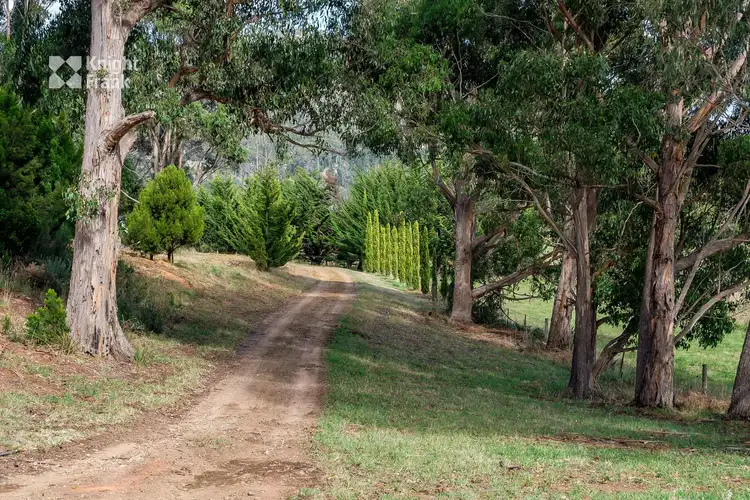 Third view of Homely rural property listing, 12 Walton Street, Huonville TAS 7109