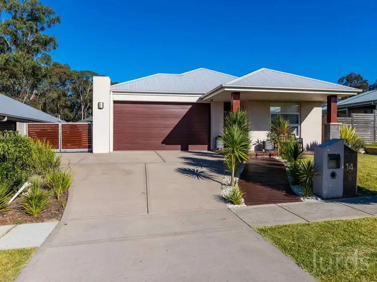Main view of Homely house listing, 14 Ainsworth Crescent (Huntlee), North Rothbury NSW 2335