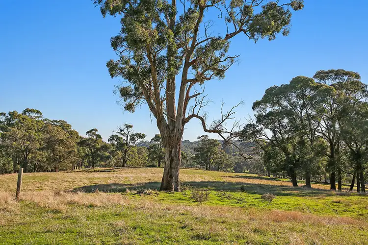 277 Barrys Road, Barongarook West VIC 3249