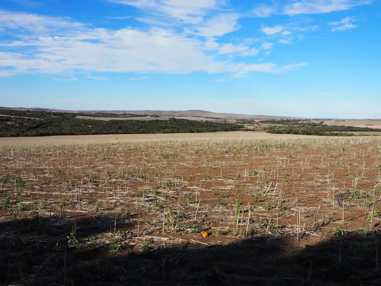 Fifth view of Homely rural property listing, LOT Sect 443 Charlton Gully Road, Charlton Gully SA 5607