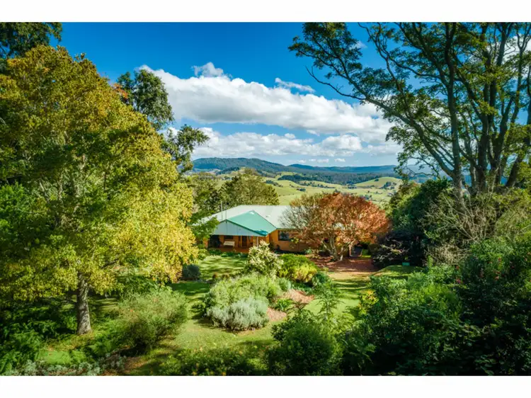 Main view of Homely rural property listing, 667 Old Coast Road, Dorrigo NSW 2453