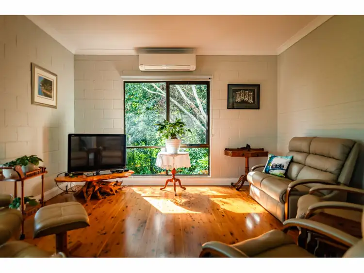 Third view of Homely rural property listing, 667 Old Coast Road, Dorrigo NSW 2453