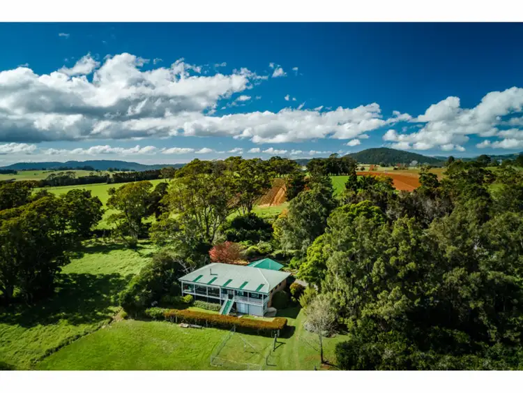 Fourth view of Homely rural property listing, 667 Old Coast Road, Dorrigo NSW 2453