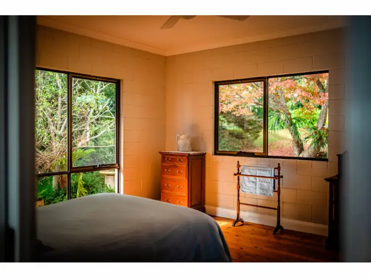 Sixth view of Homely rural property listing, 667 Old Coast Road, Dorrigo NSW 2453