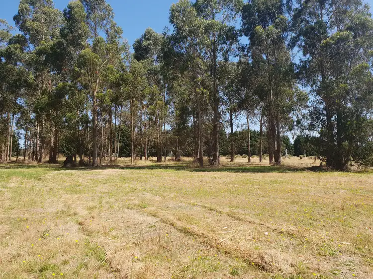 Fourth view of Homely land listing, LOT 22 Quenda Drive, Northcliffe WA 6262
