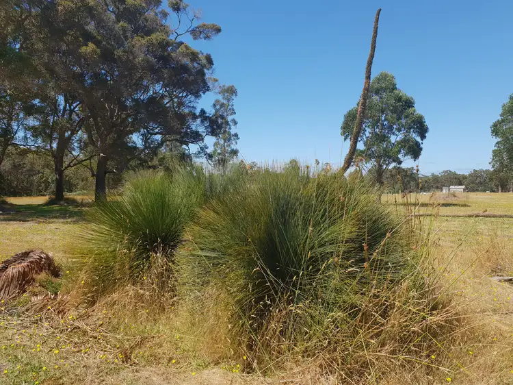 Fifth view of Homely land listing, LOT 22 Quenda Drive, Northcliffe WA 6262